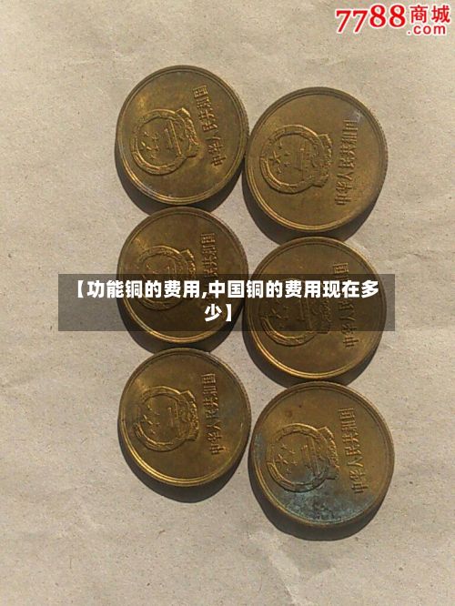 【功能铜的费用,中国铜的费用现在多少】-第2张图片