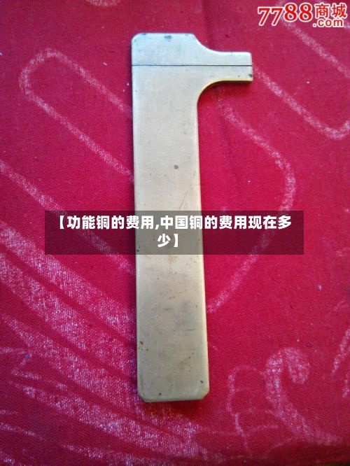 【功能铜的费用,中国铜的费用现在多少】