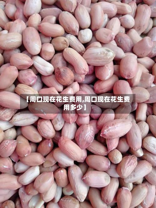 【周口现在花生费用,周口现在花生费用多少】