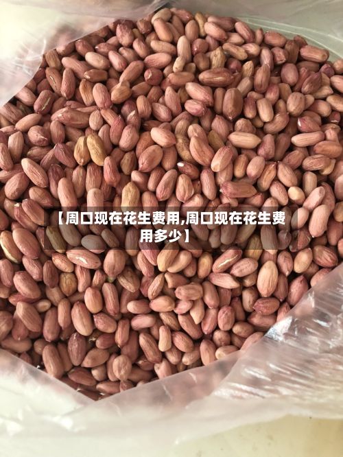 【周口现在花生费用,周口现在花生费用多少】-第3张图片
