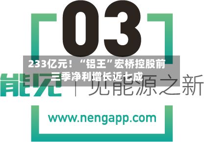 233亿元！“铝王”宏桥控股前三季净利增长近七成-第1张图片