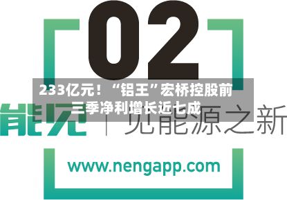 233亿元！“铝王”宏桥控股前三季净利增长近七成-第3张图片