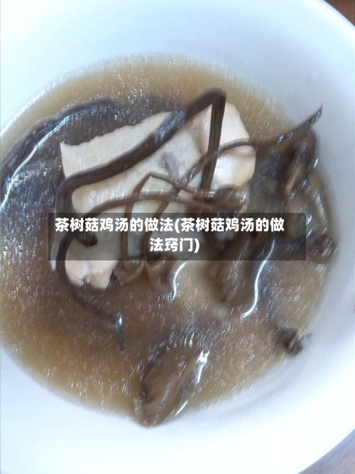 茶树菇鸡汤的做法(茶树菇鸡汤的做法窍门)-第2张图片