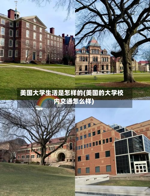 美国大学生活是怎样的(美国的大学校内交通怎么样)