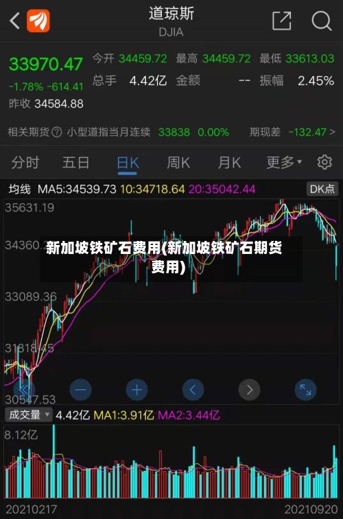 新加坡铁矿石费用(新加坡铁矿石期货费用)-第3张图片