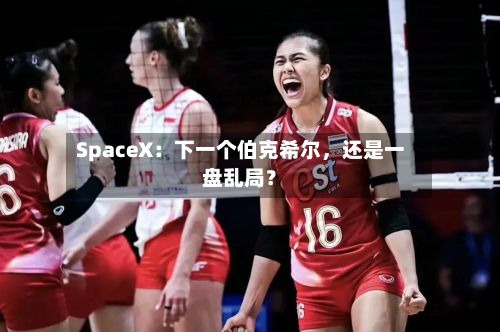 SpaceX：下一个伯克希尔，还是一盘乱局？-第2张图片