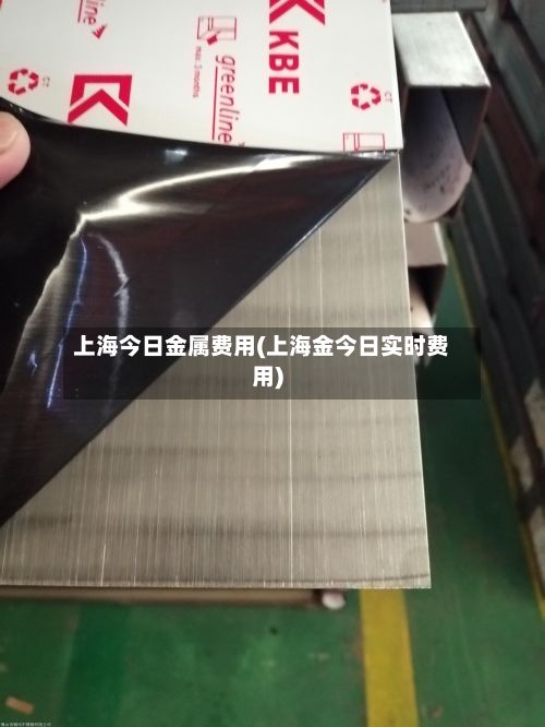 上海今日金属费用(上海金今日实时费用)