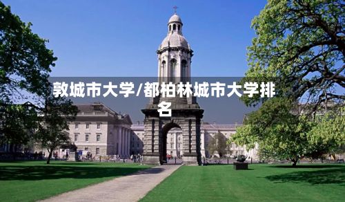 敦城市大学/都柏林城市大学排名