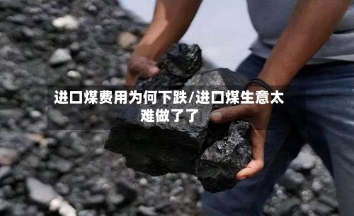 进口煤费用为何下跌/进口煤生意太难做了了-第3张图片