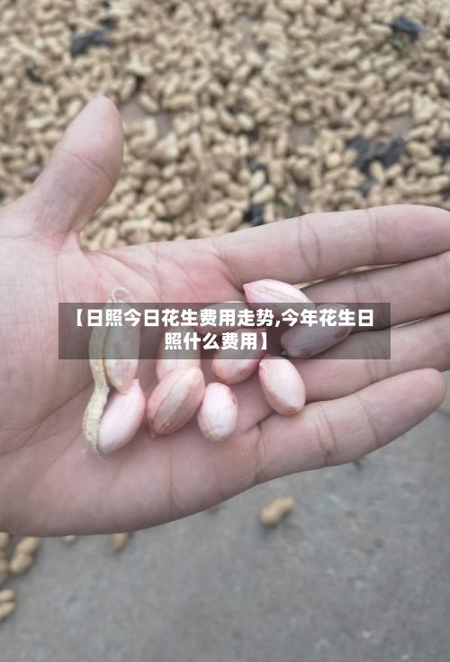 【日照今日花生费用走势,今年花生日照什么费用】-第2张图片