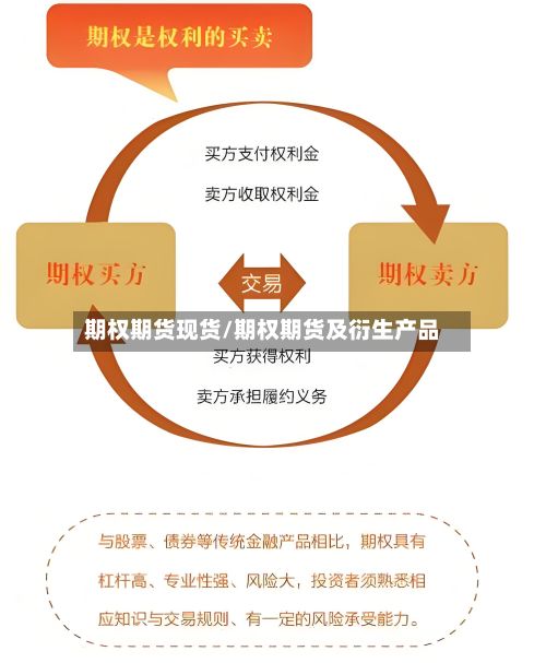期权期货现货/期权期货及衍生产品-第3张图片