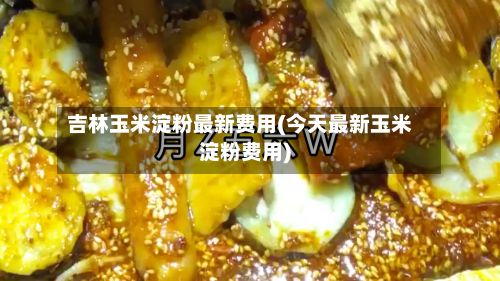 吉林玉米淀粉最新费用(今天最新玉米淀粉费用)-第3张图片