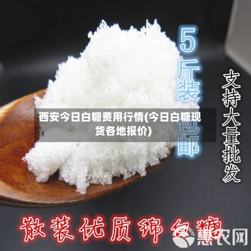 西安今日白糖费用行情(今日白糖现货各地报价)