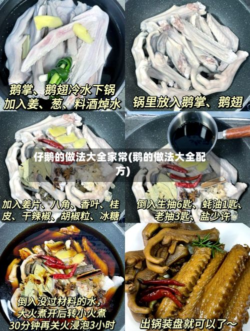 仔鹅的做法大全家常(鹅的做法大全配方)-第2张图片