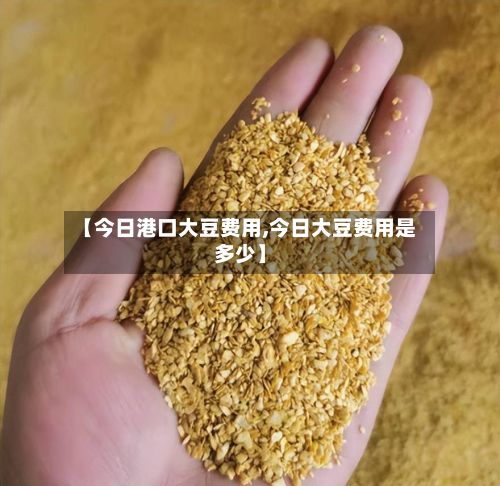 【今日港口大豆费用,今日大豆费用是多少】-第3张图片