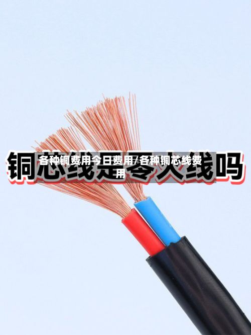 各种铜费用今日费用/各种铜芯线费用-第2张图片