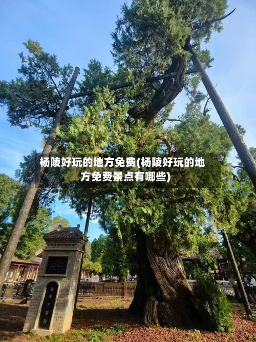 杨陵好玩的地方免费(杨陵好玩的地方免费景点有哪些)