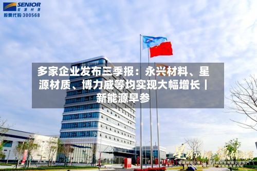 多家企业发布三季报：永兴材料、星源材质、博力威等均实现大幅增长｜新能源早参-第2张图片