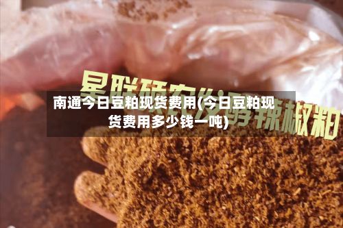 南通今日豆粕现货费用(今日豆粕现货费用多少钱一吨)