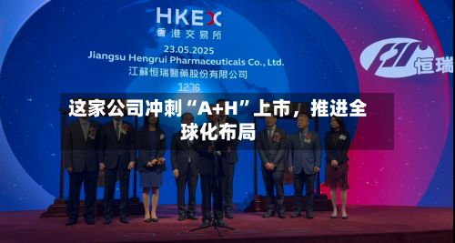 这家公司冲刺“A+H”上市，推进全球化布局-第2张图片
