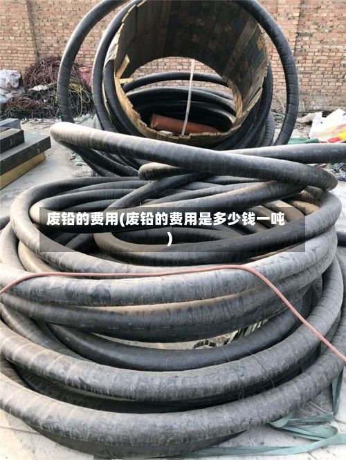 废铅的费用(废铅的费用是多少钱一吨)-第2张图片
