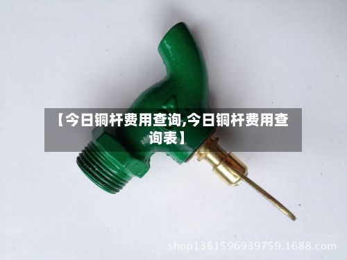 【今日铜杆费用查询,今日铜杆费用查询表】-第2张图片