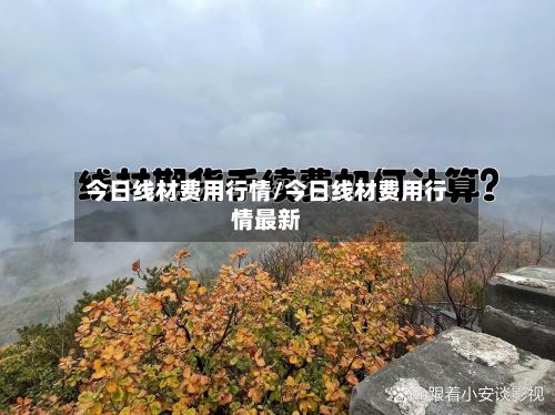 今日线材费用行情/今日线材费用行情最新-第2张图片