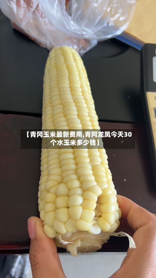 【青冈玉米最新费用,青冈龙凤今天30个水玉米多少钱】