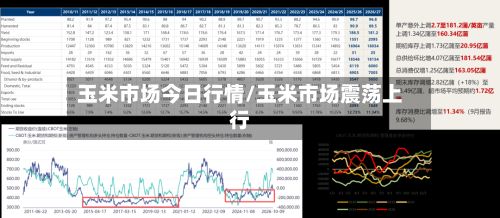 玉米市场今日行情/玉米市场震荡上行