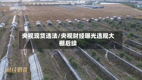 央视现货违法/央视财经曝光违规大棚后续-第2张图片
