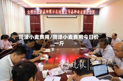 菏泽小麦费用/菏泽小麦费用今日价一斤-第2张图片