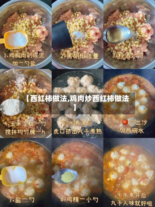 【西红柿做法,鸡肉炒西红柿做法】