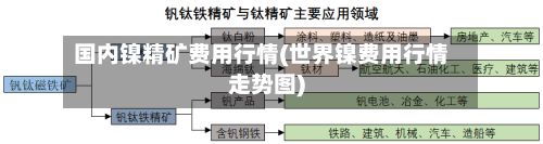 国内镍精矿费用行情(世界镍费用行情走势图)