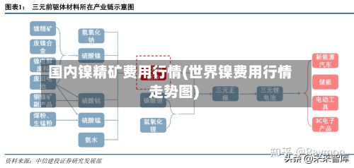 国内镍精矿费用行情(世界镍费用行情走势图)-第2张图片