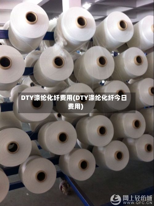 DTY涤纶化纤费用(DTY涤纶化纤今日费用)