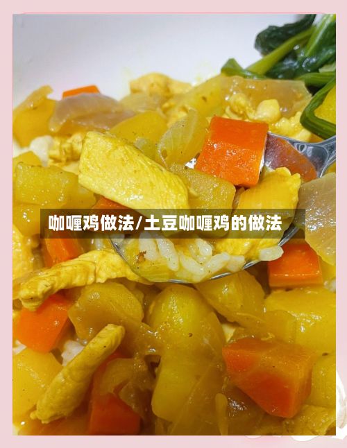 咖喱鸡做法/土豆咖喱鸡的做法-第2张图片