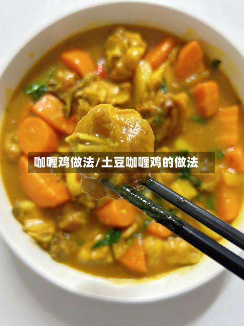 咖喱鸡做法/土豆咖喱鸡的做法-第3张图片