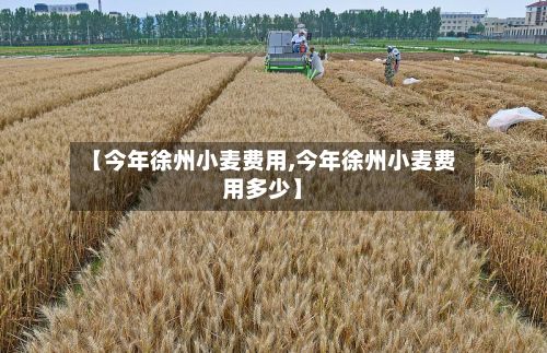 【今年徐州小麦费用,今年徐州小麦费用多少】-第2张图片