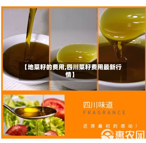 【地菜籽的费用,四川菜籽费用最新行情】-第2张图片