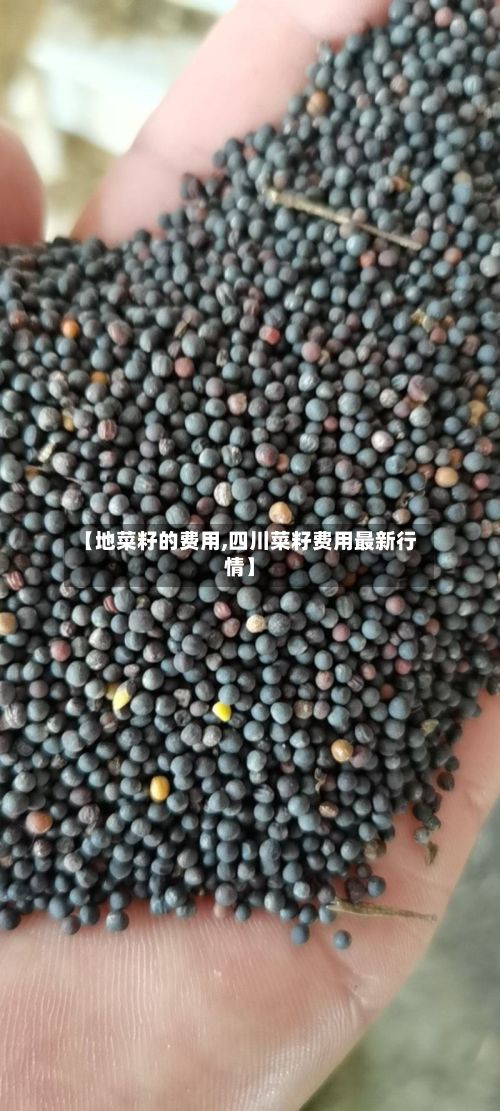 【地菜籽的费用,四川菜籽费用最新行情】