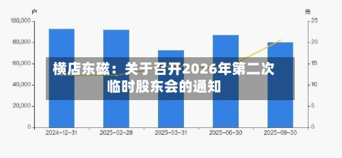 横店东磁：关于召开2026年第二次临时股东会的通知
