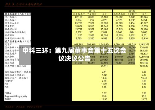 中科三环：第九届董事会第十五次会议决议公告