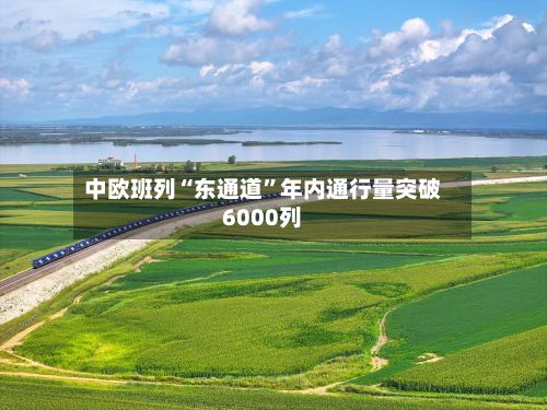 中欧班列“东通道”年内通行量突破6000列