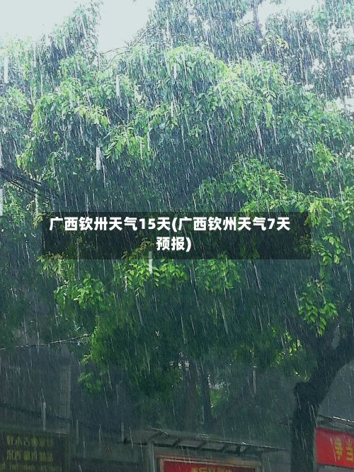 广西钦卅天气15天(广西钦州天气7天预报)-第3张图片