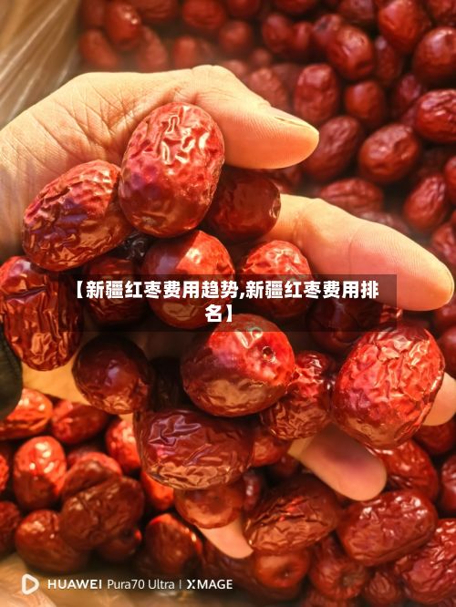 【新疆红枣费用趋势,新疆红枣费用排名】-第3张图片