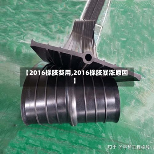 【2016橡胶费用,2016橡胶暴涨原因】-第2张图片