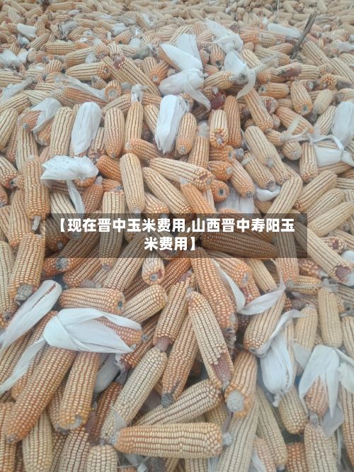 【现在晋中玉米费用,山西晋中寿阳玉米费用】