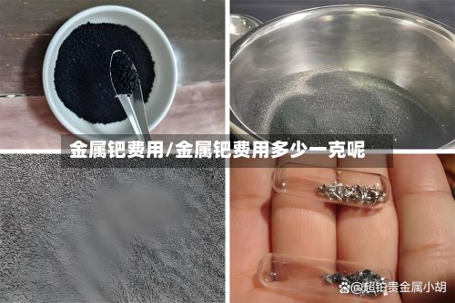 金属钯费用/金属钯费用多少一克呢-第3张图片