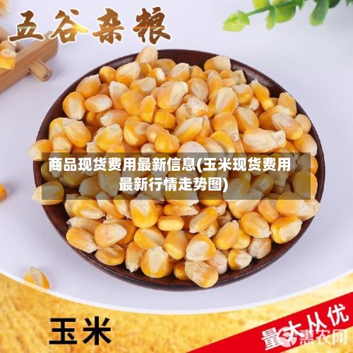 商品现货费用最新信息(玉米现货费用最新行情走势图)
