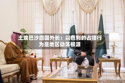 土埃巴沙四国外长:以色列的占领行为是地区动荡根源-第1张图片